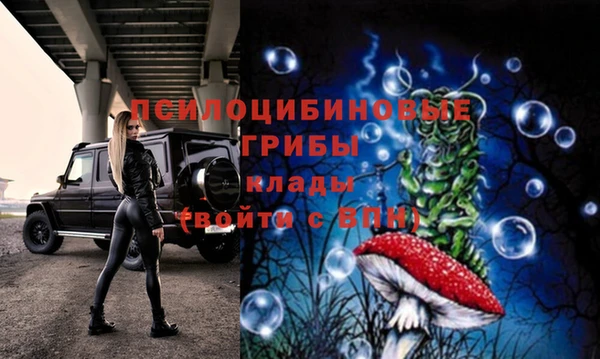 дживик Алексин