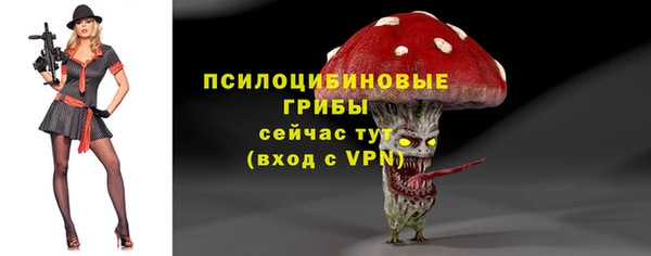 гашик Протвино