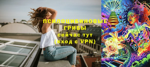 apvp Алексеевка