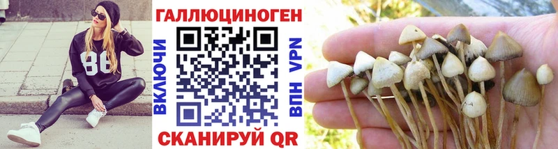 даркнет сайт  блэк спрут tor  Галлюциногенные грибы Psilocybine cubensis  Воткинск 